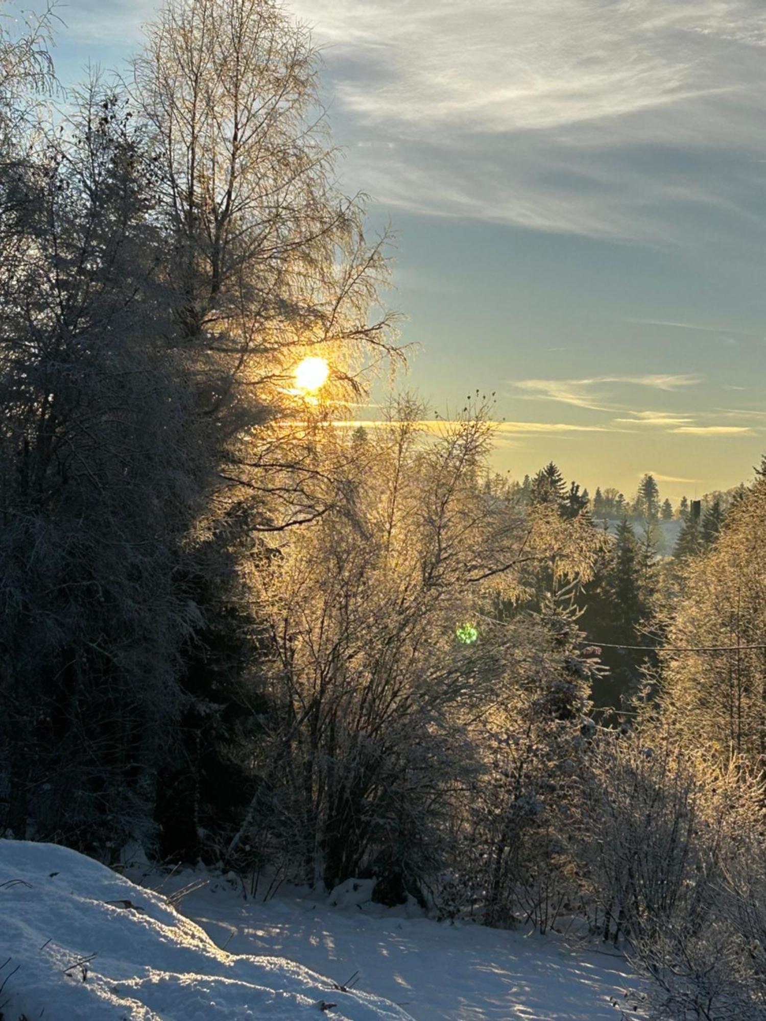 Avec Jacuzzi Prive, Vue Sur Les Vosges *